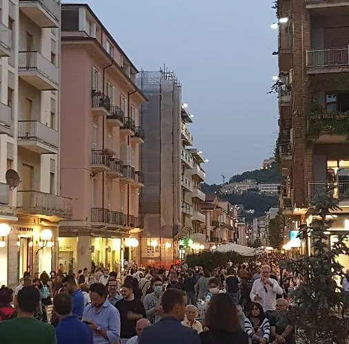 Manu's Guest * 科森扎