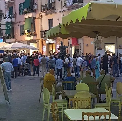 Manu's Guest 科森扎