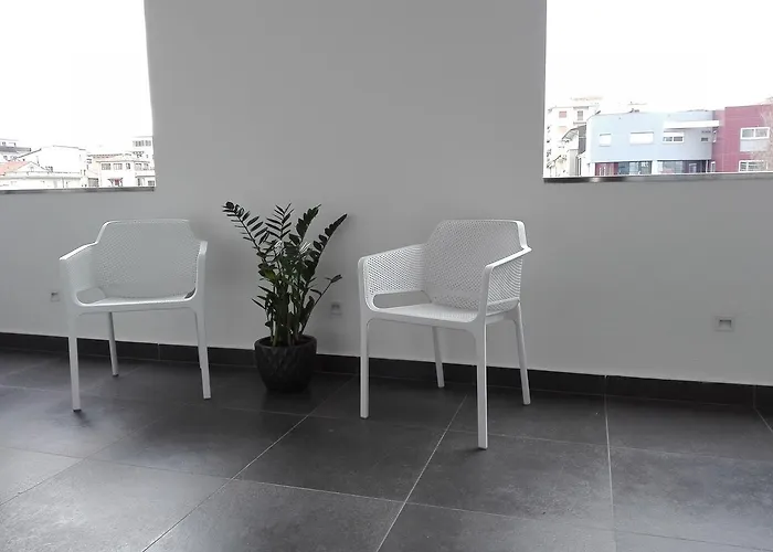 Manu's Guest 科森扎